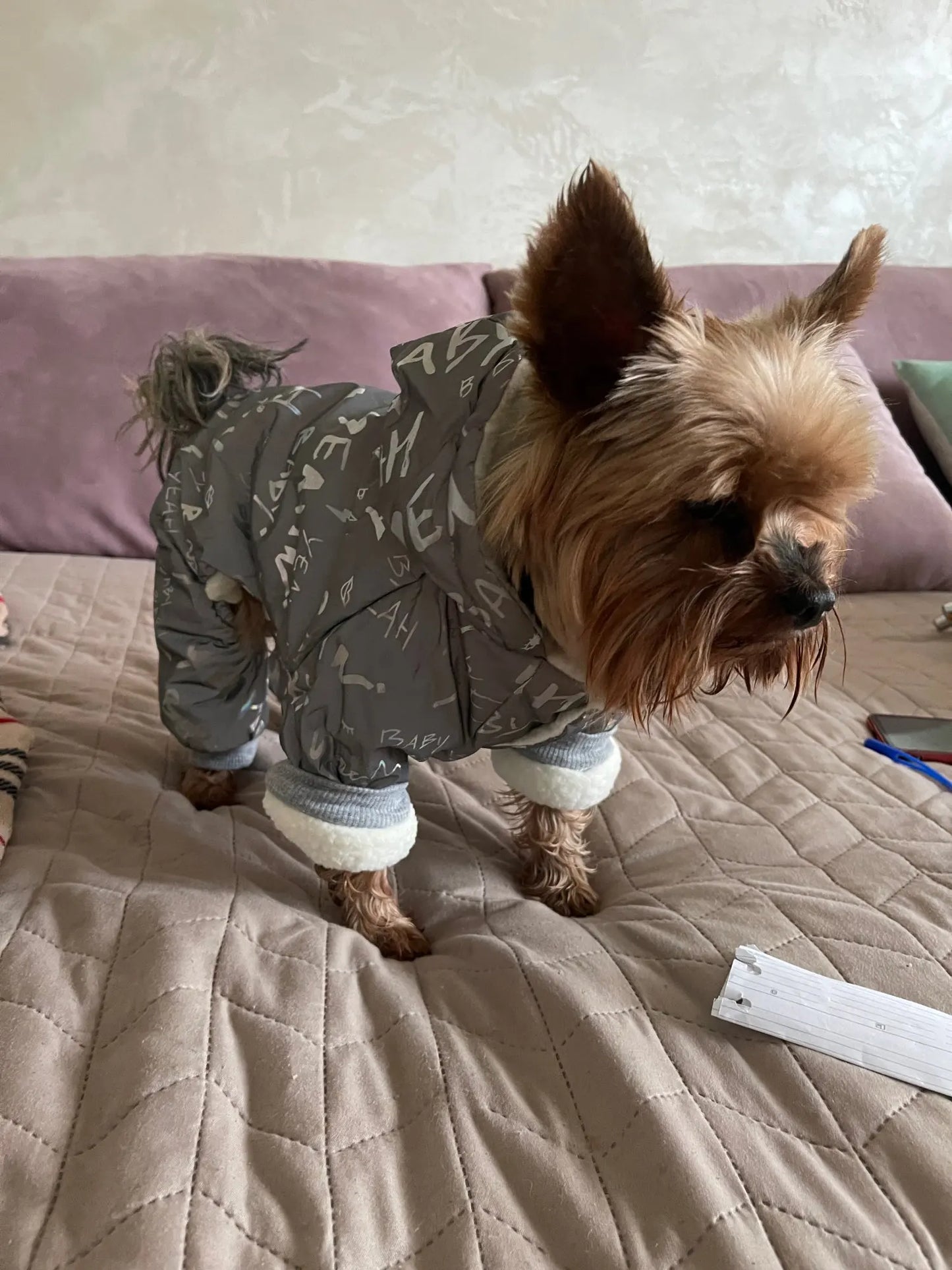 Reflective Yorkie Winter Jumpsuits