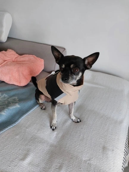 Chihuahua Warm Winter Jacket