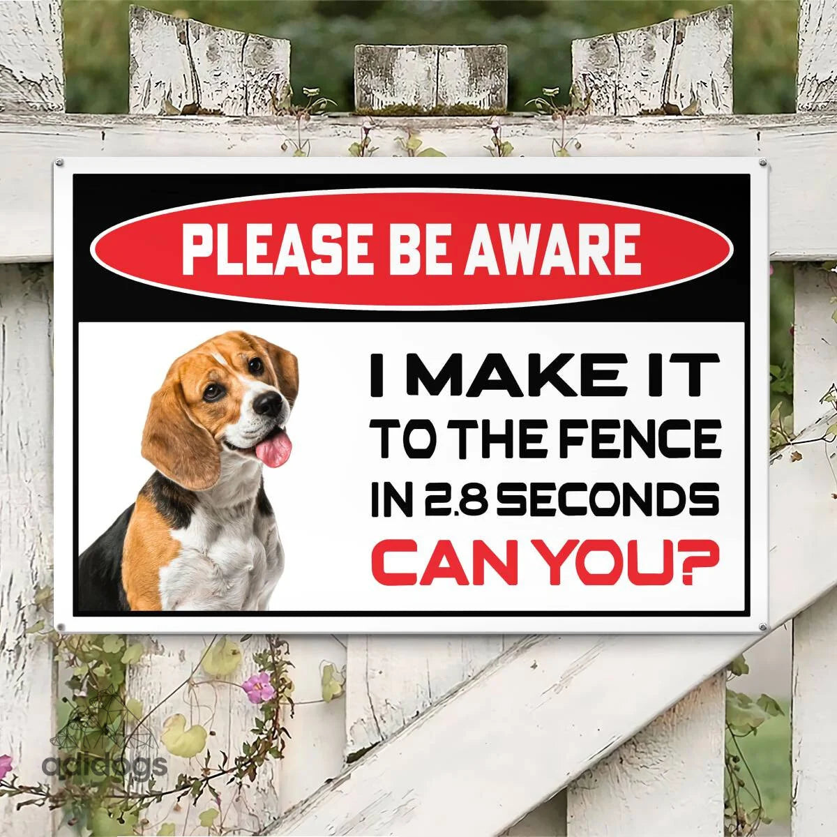 Please Be Aware of Beagle Sign