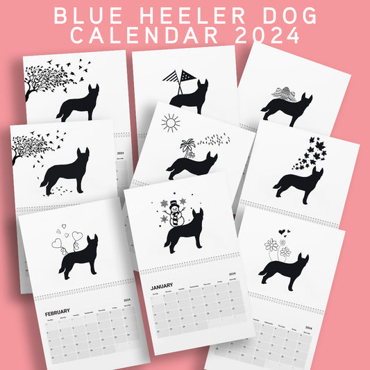 Blue Heeler Calendar 2024