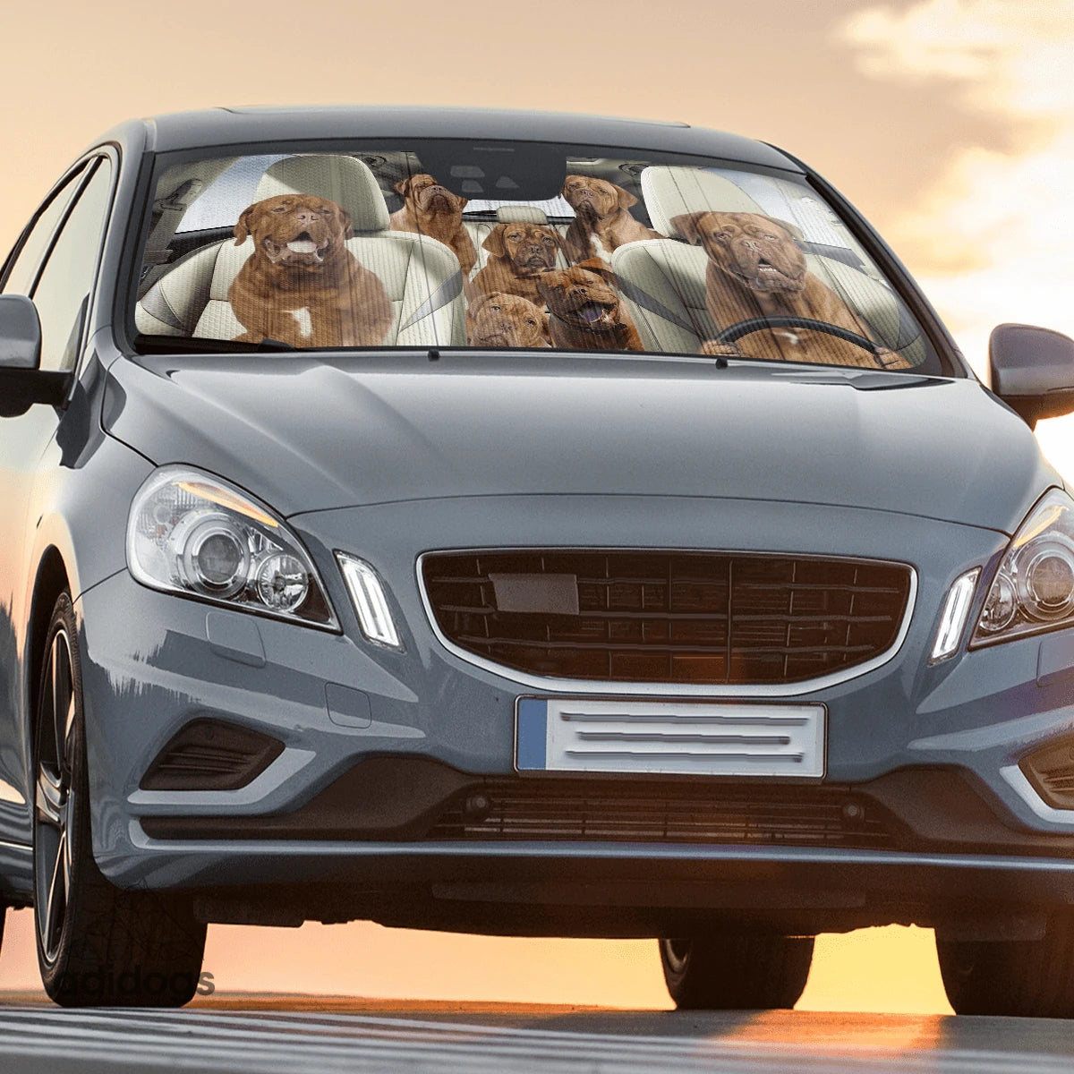 Bordeaux Family Car Sunshade