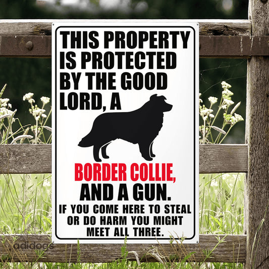 Protected by Border Collie Metal Sign