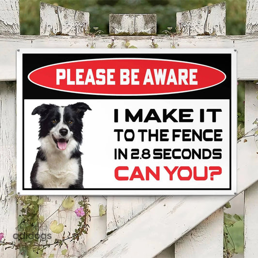 Please Be Aware of Border Collie Sign