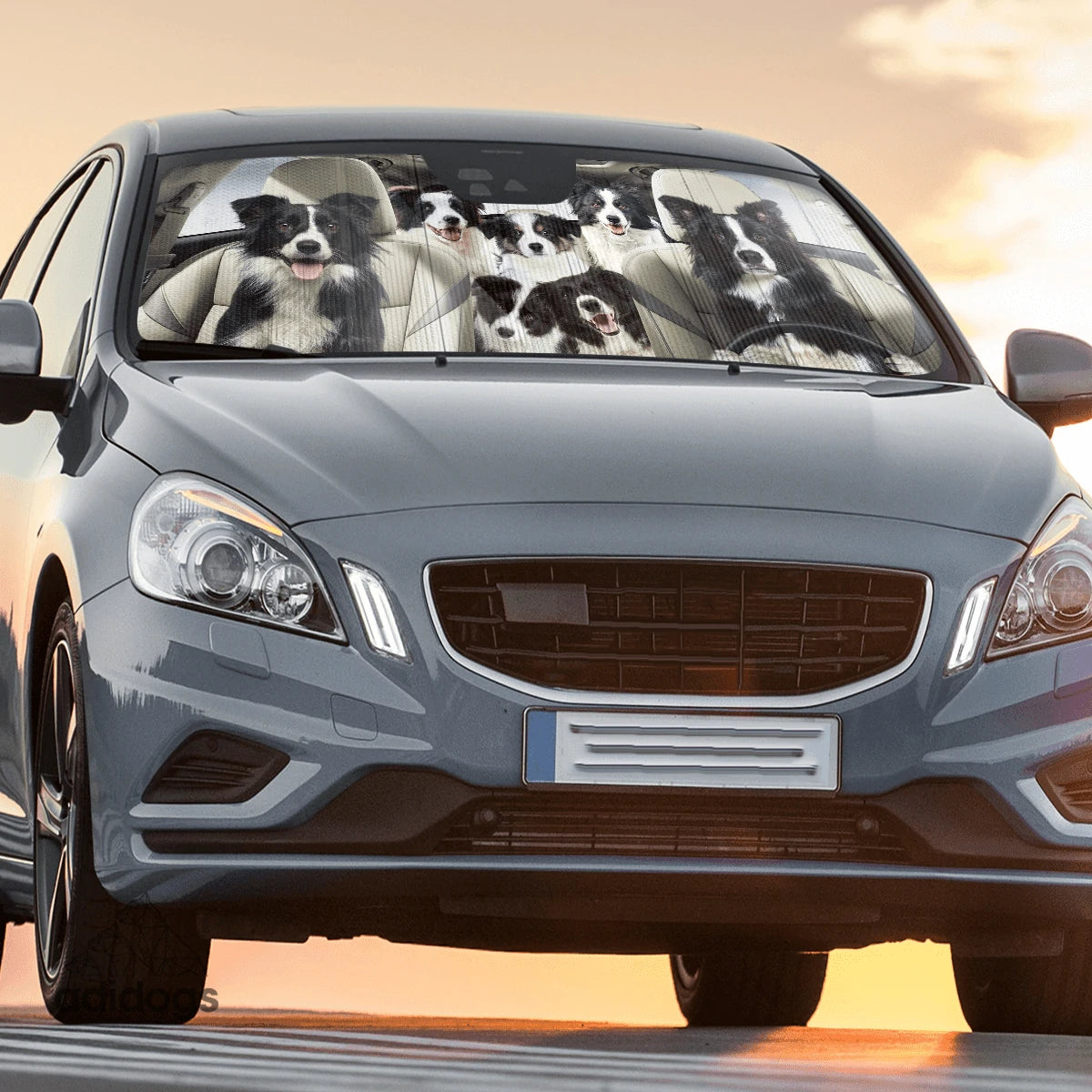 Border Collie Family Car Sunshade