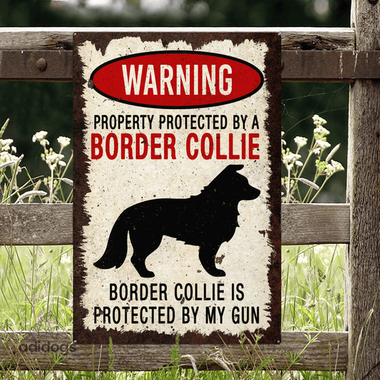 Border Collie Warning Metal Sign