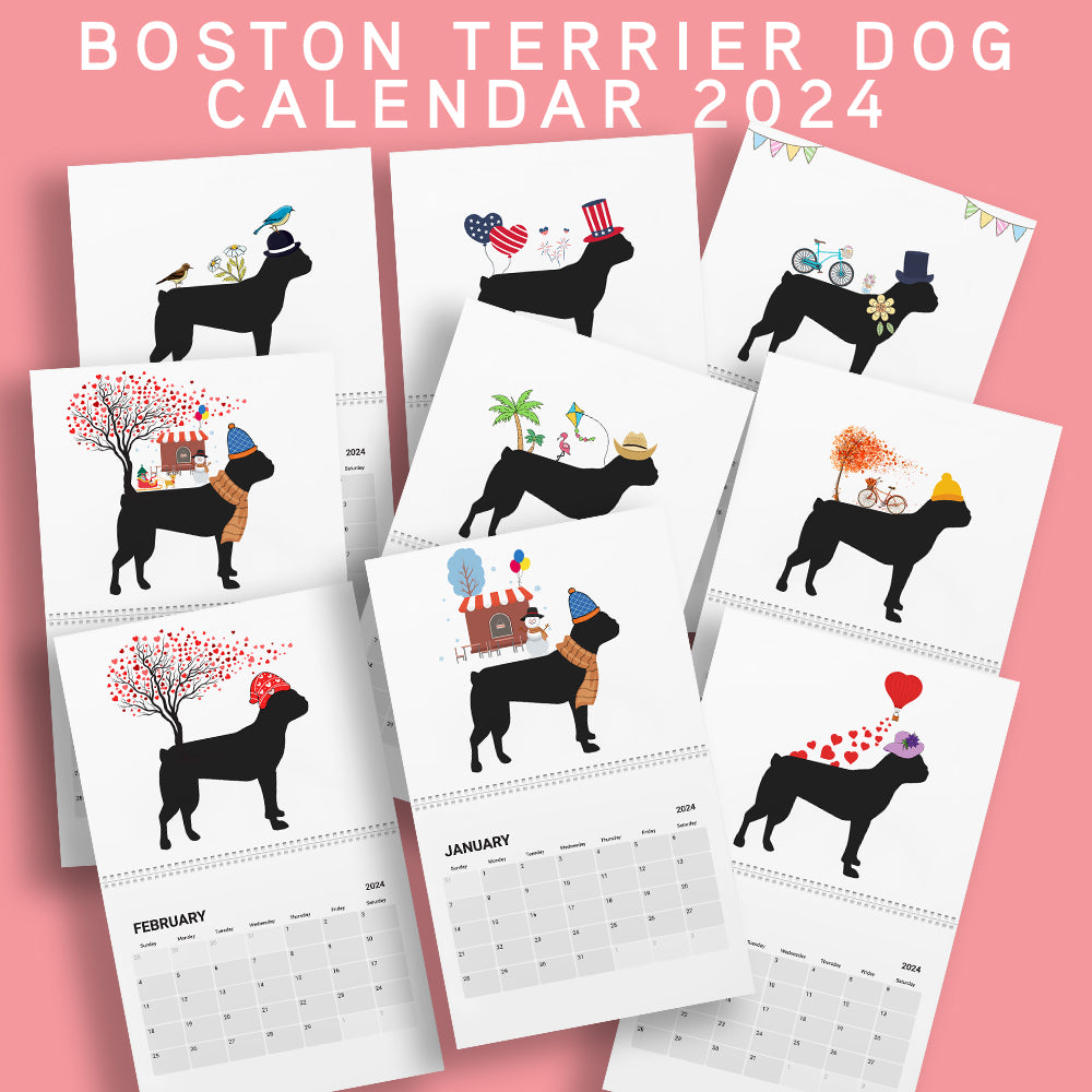 Boston Terrier Wall Calendar 2024