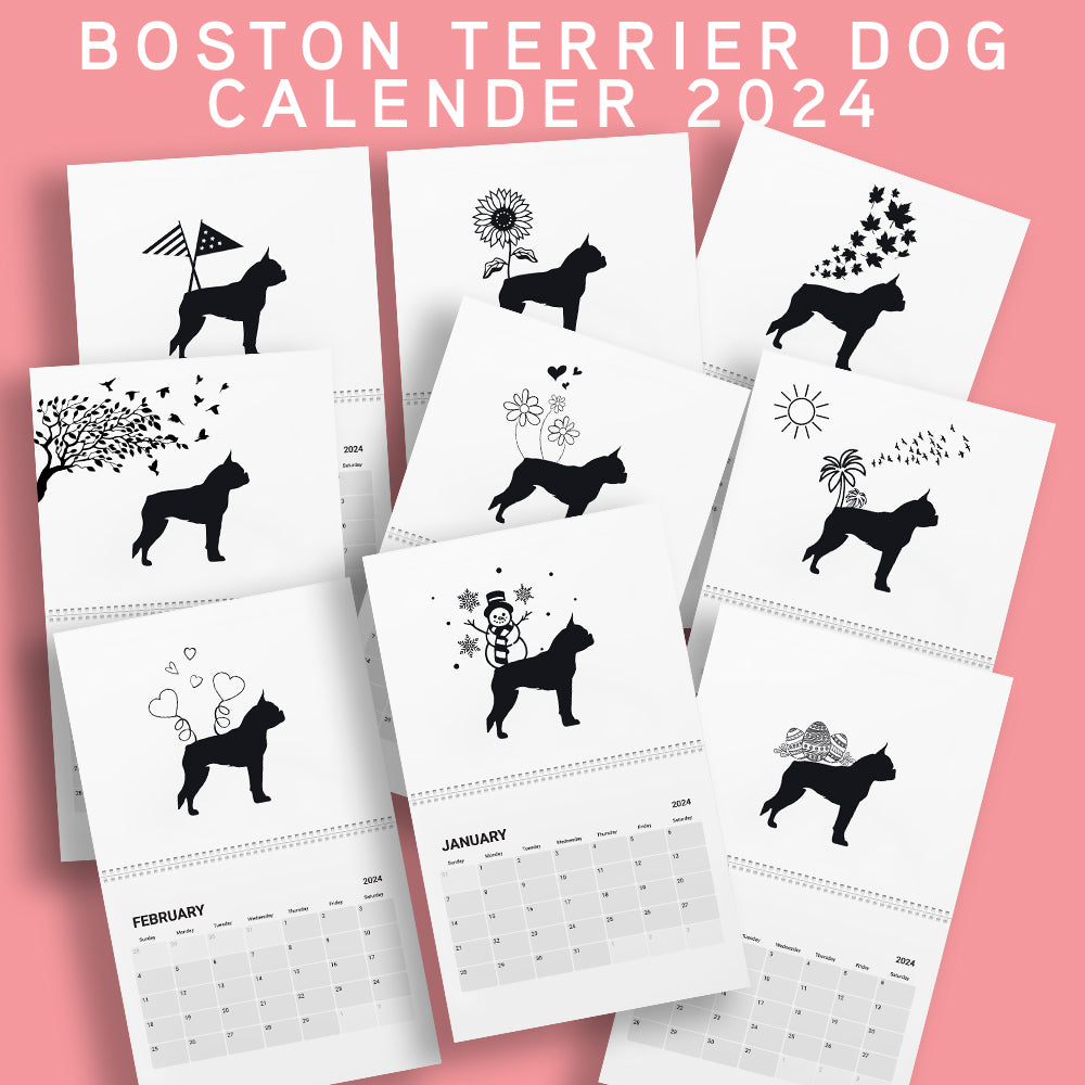 Boston Terrier Calendar 2024