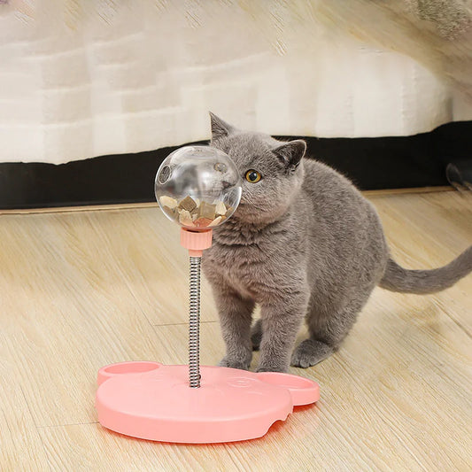 Pet Slow Feeder Toy