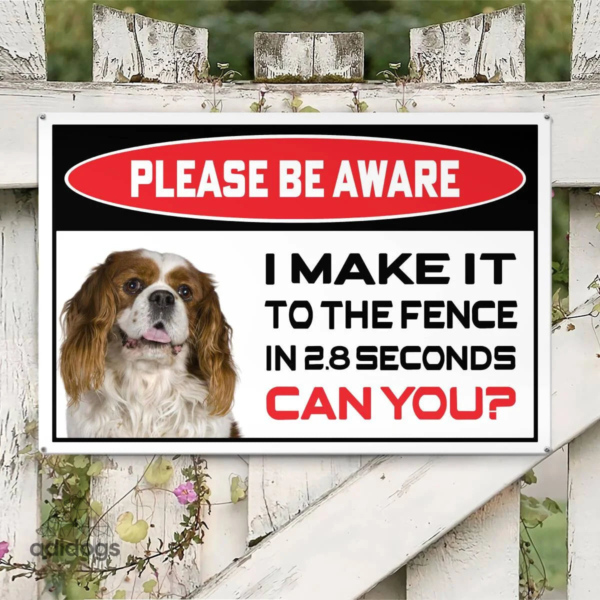 Please Be Aware of Cavalier Sign