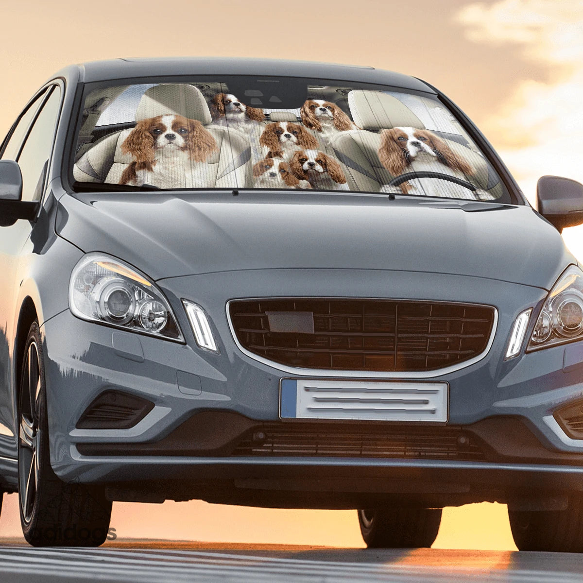 Cavalier Family Car Sunshade