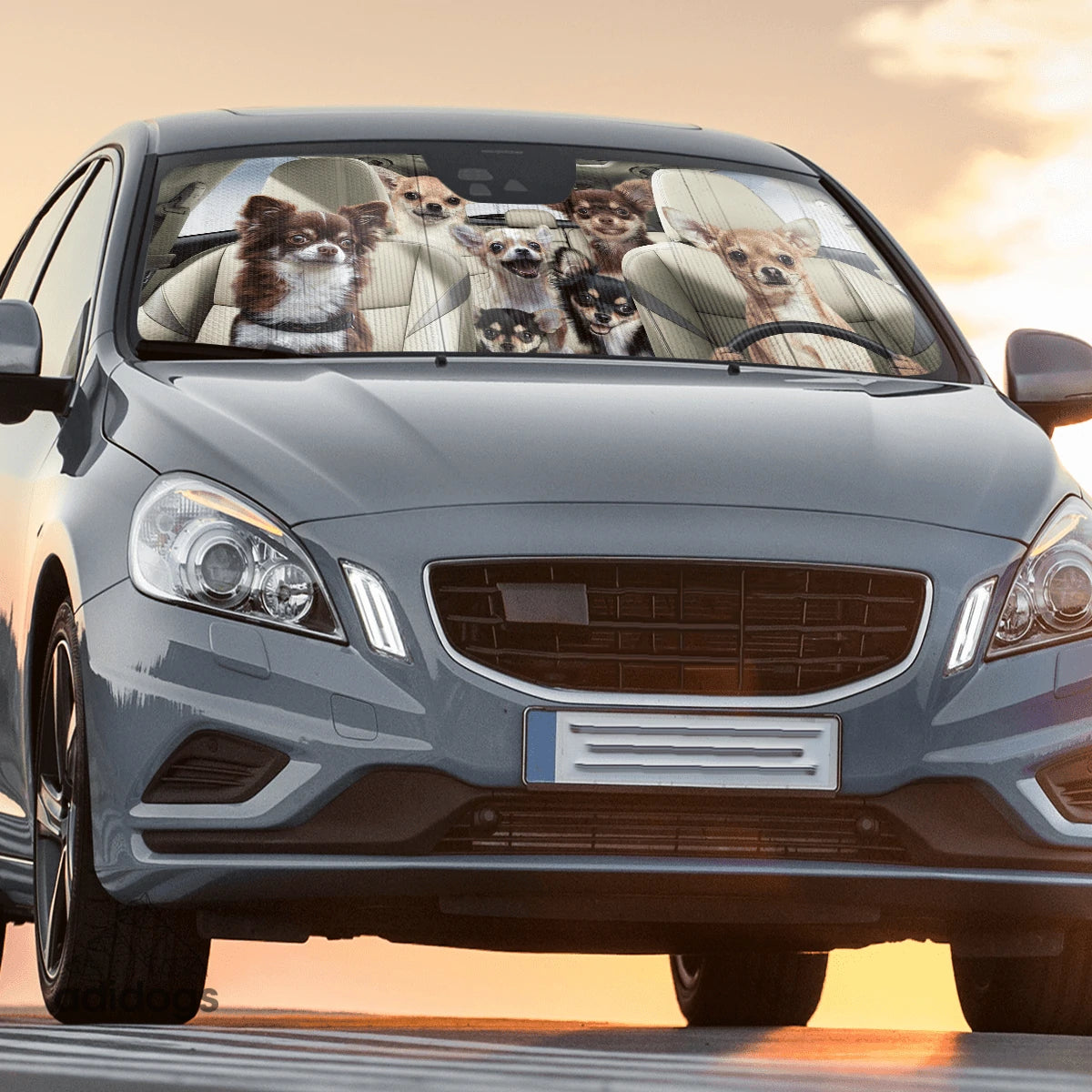 Chihuahua Family Car Sunshade