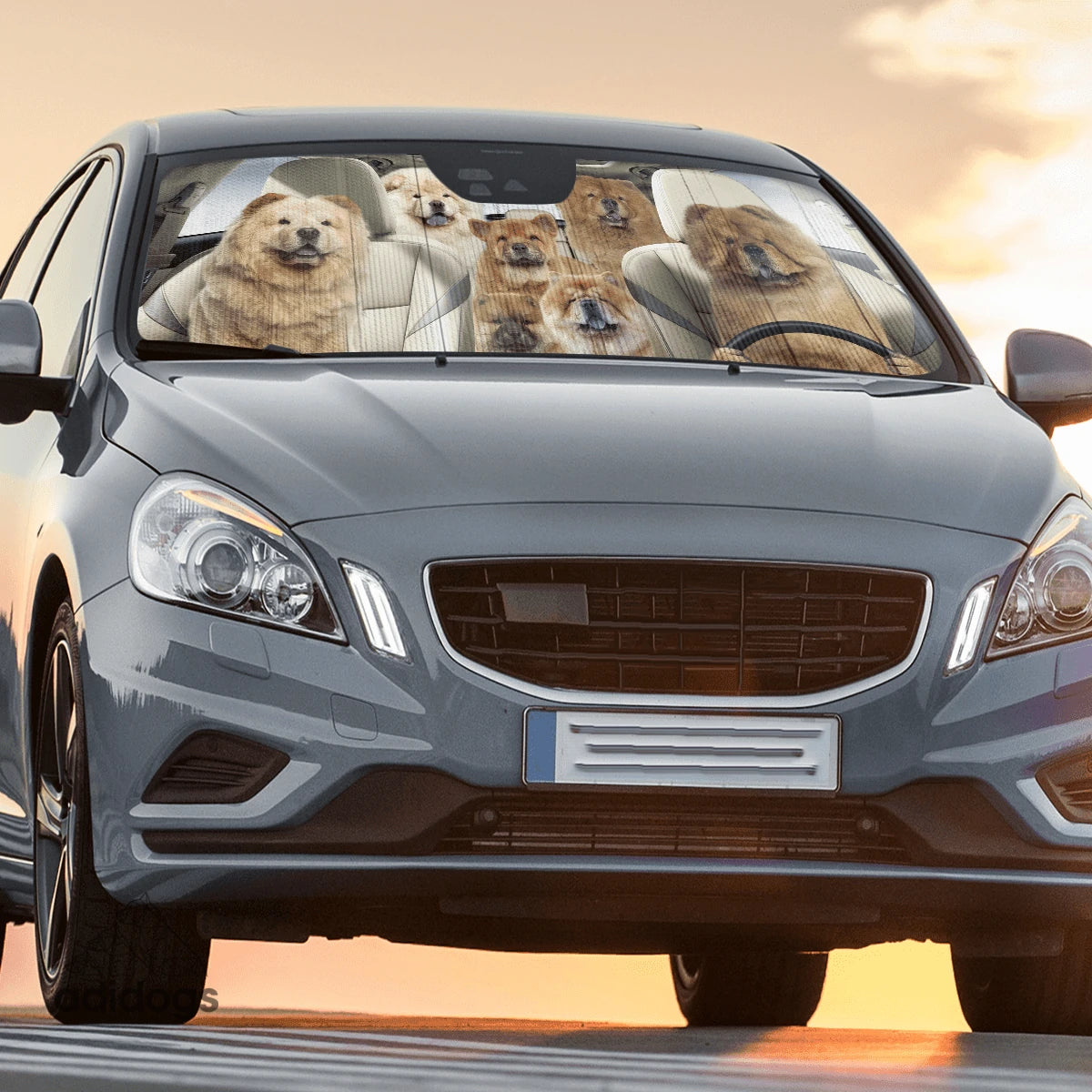 Chow Chow Family Car Sunshade