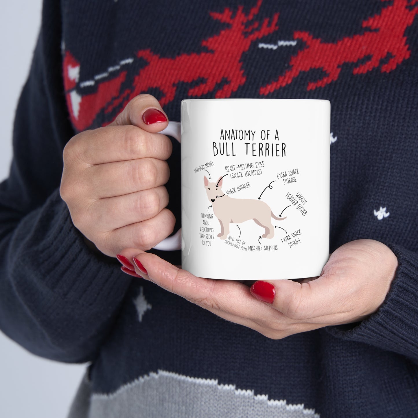 Anatomy Of A Bull Terrier Shirts & Gifts