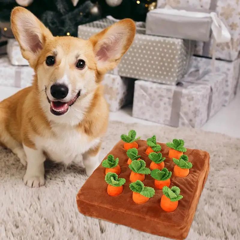 Dog Plush Carrot Toy