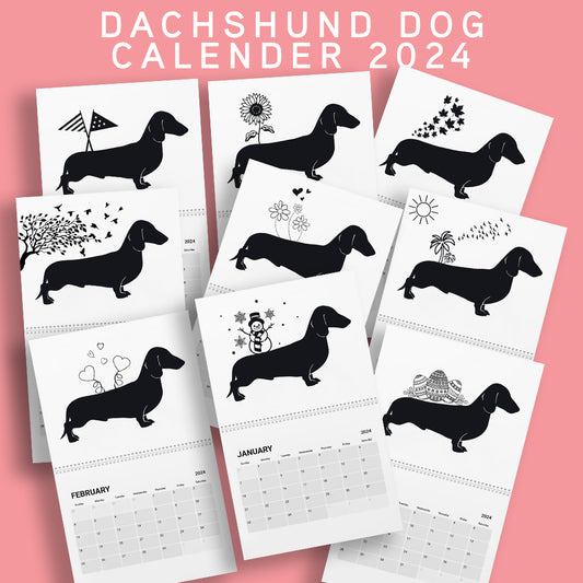 Dachshund Calendar 2024