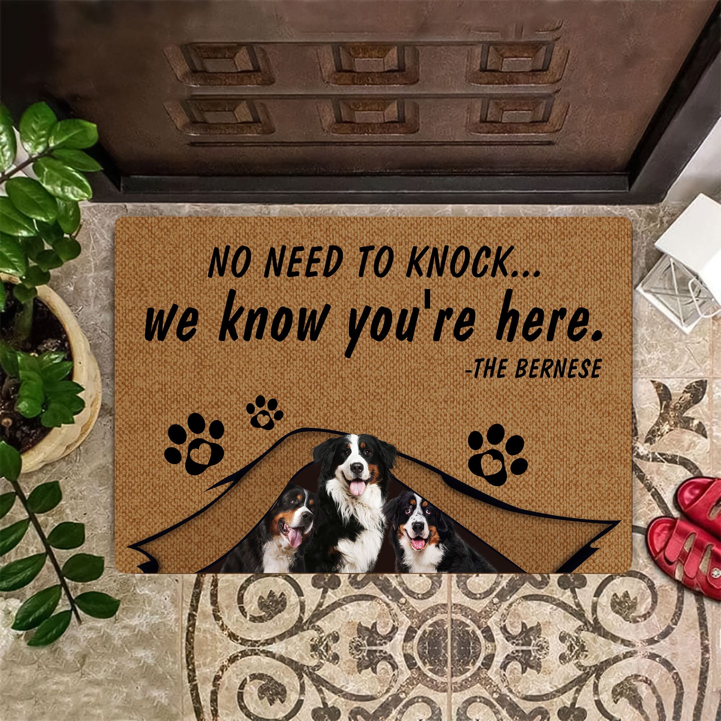 No Need To Knock Bernese Doormat