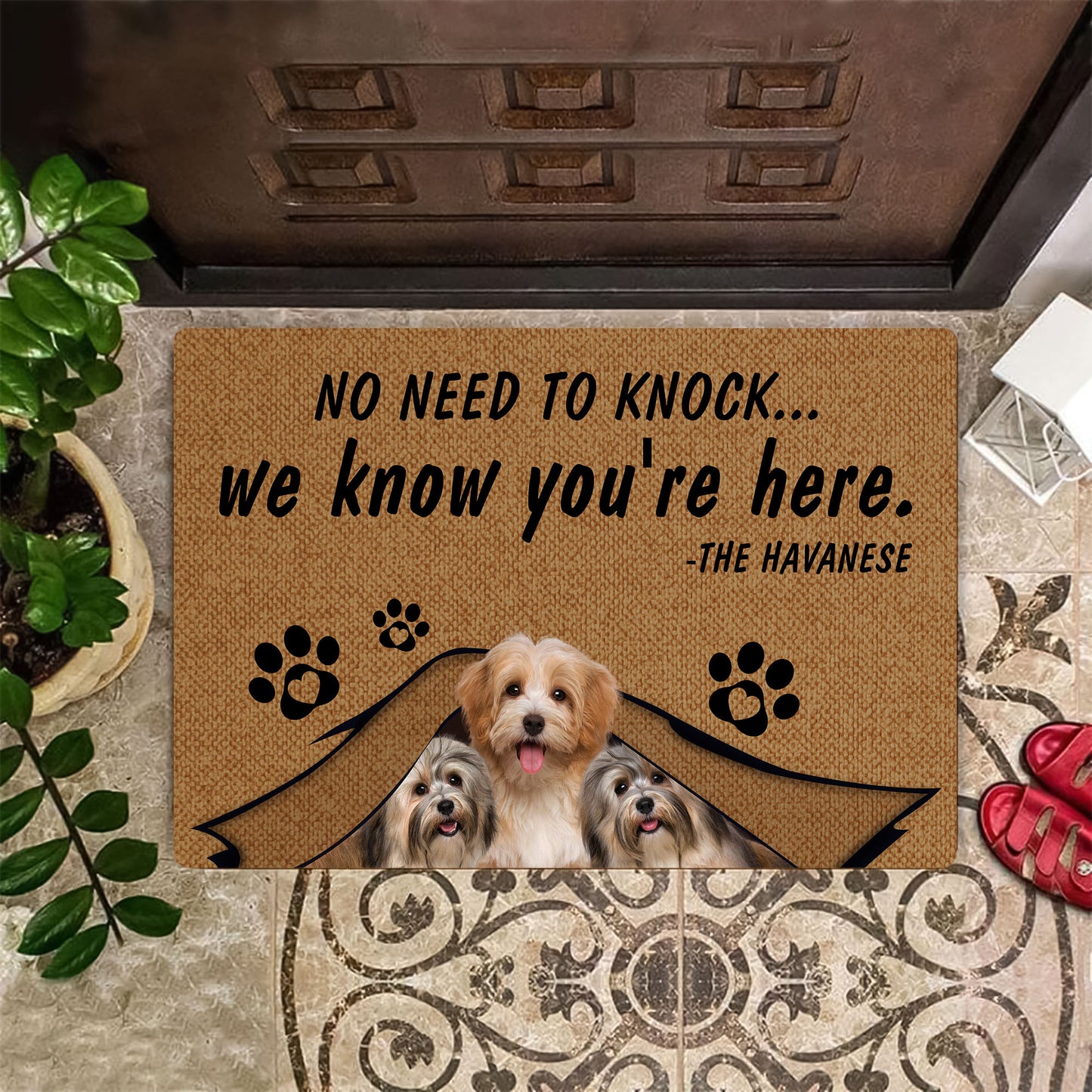 No Need To Knock Havanese Doormat