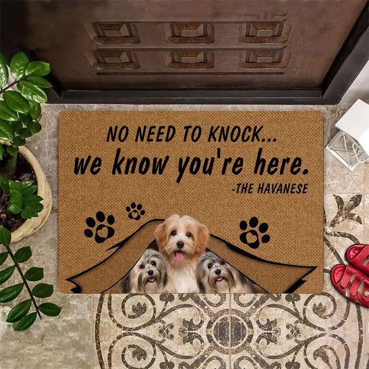 No Need To Knock Havanese Doormat