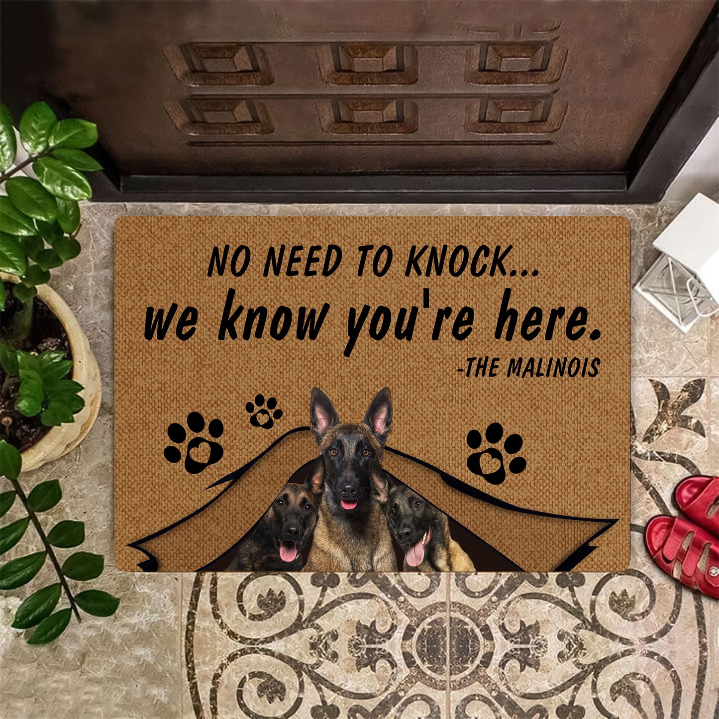 No Need To Knock Malinois Doormat