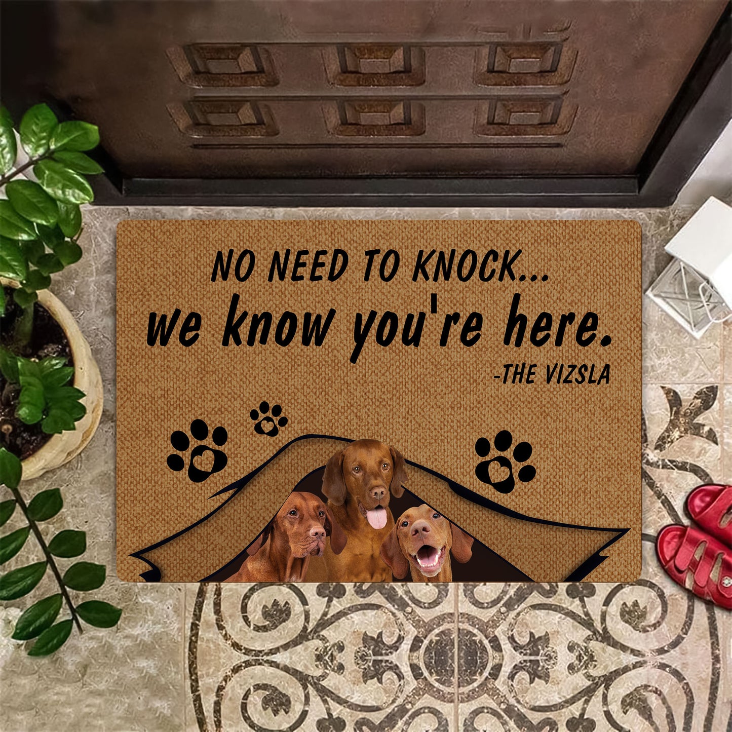 No Need To Knock Vizsla Doormat