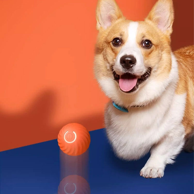 Automatic Smart Dog Toy Ball