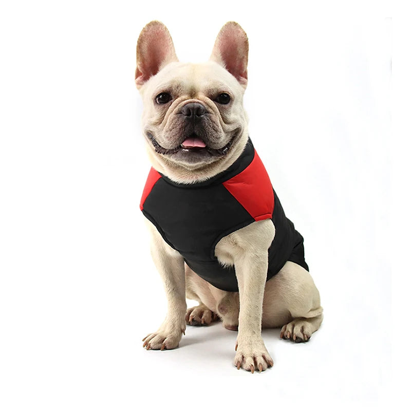 Frenchie Winter Dog Jackets