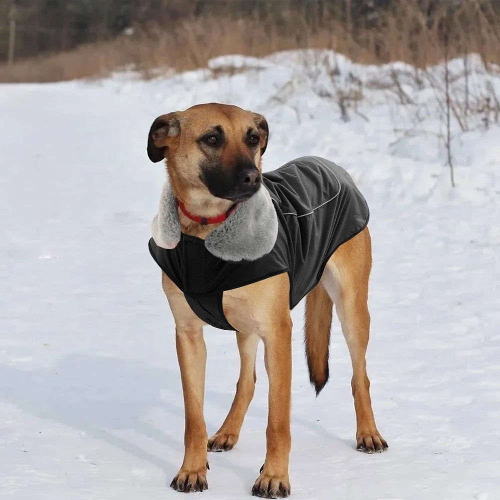 Waterproof Malinois Winter Coat: Durable Jacket for Cold Weather Protection