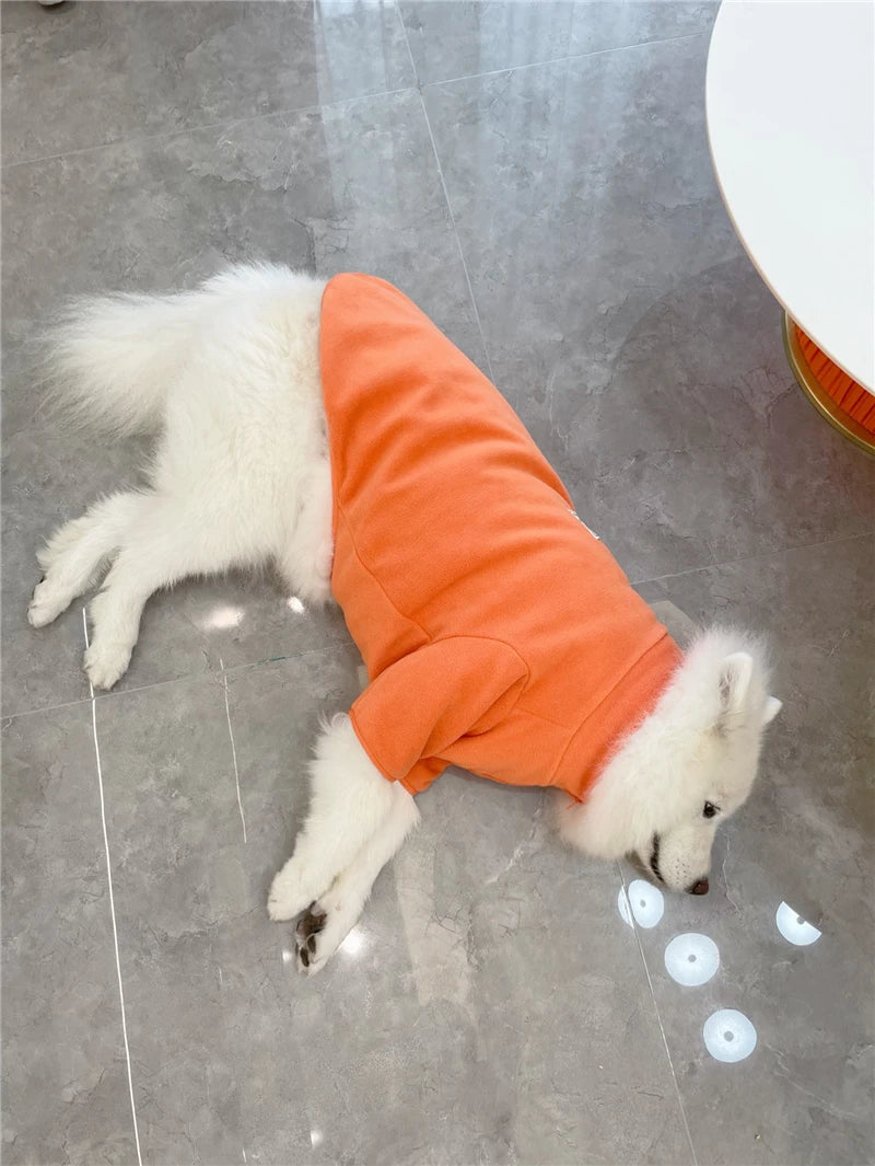 Samoyed Fashion Winter Dress