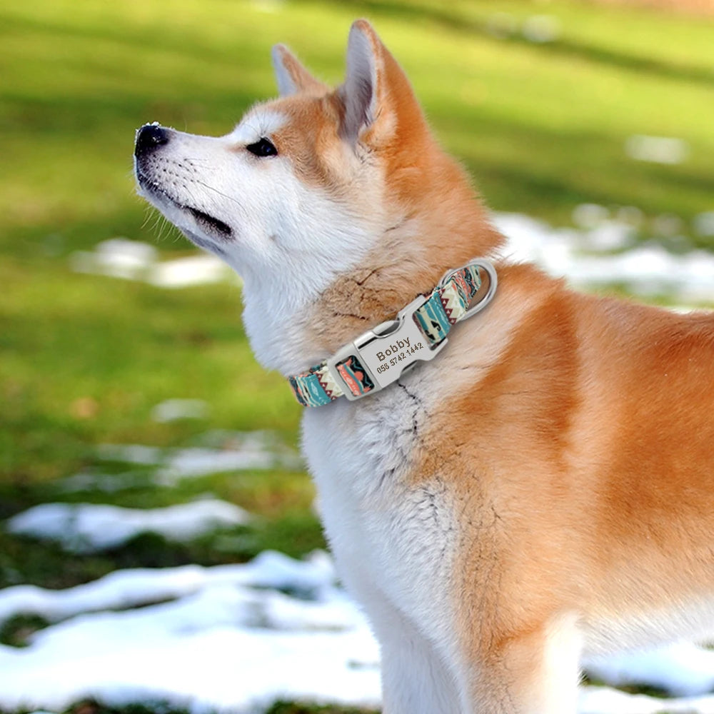 Personalized Durable Dog Collar