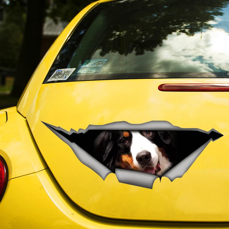 Bernese Funny Car Sticker