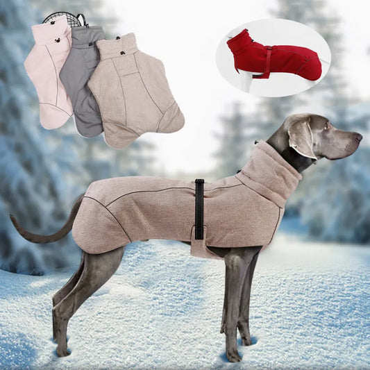 Weimaraner Warm Winter Outfits