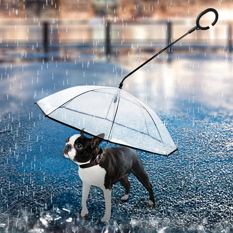 Pet Umbrella With Leash