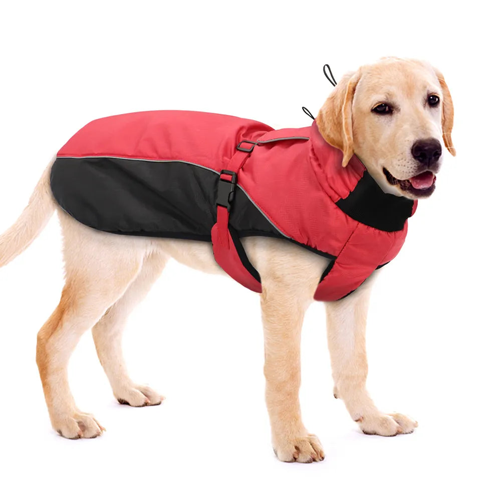 Waterproof Jacket For Labrador