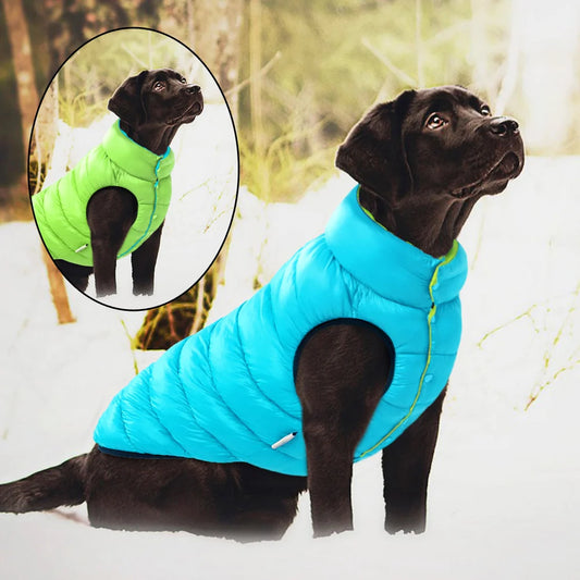 Black Labrador Warm Winter Vest