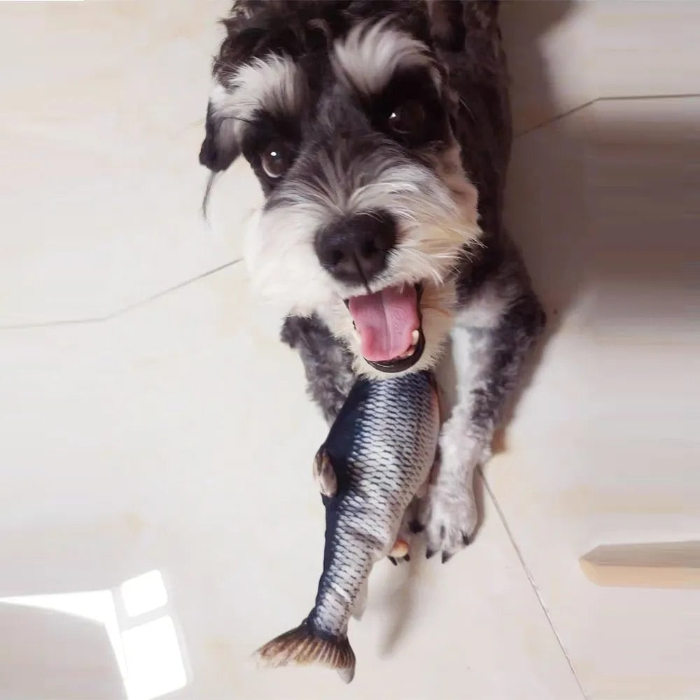 Doggo Floppy Fish Toy