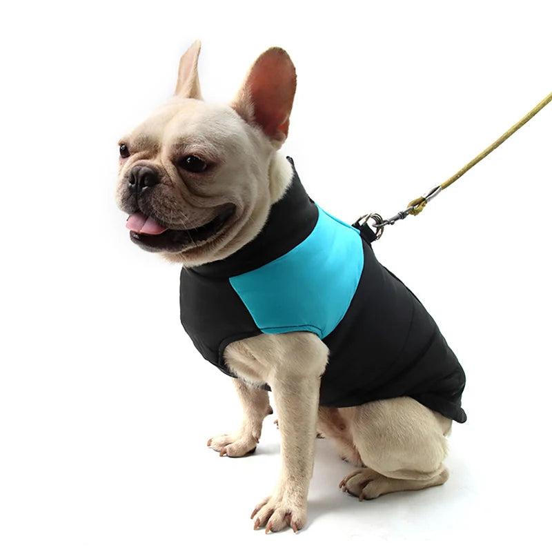 Frenchie Winter Dog Jackets