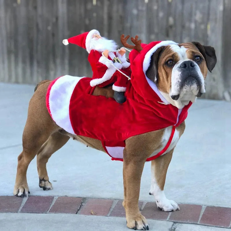 Santa Riding Christmas Dog Costume Jacket