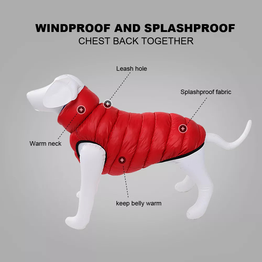 Border Collie Warm Winter Vest