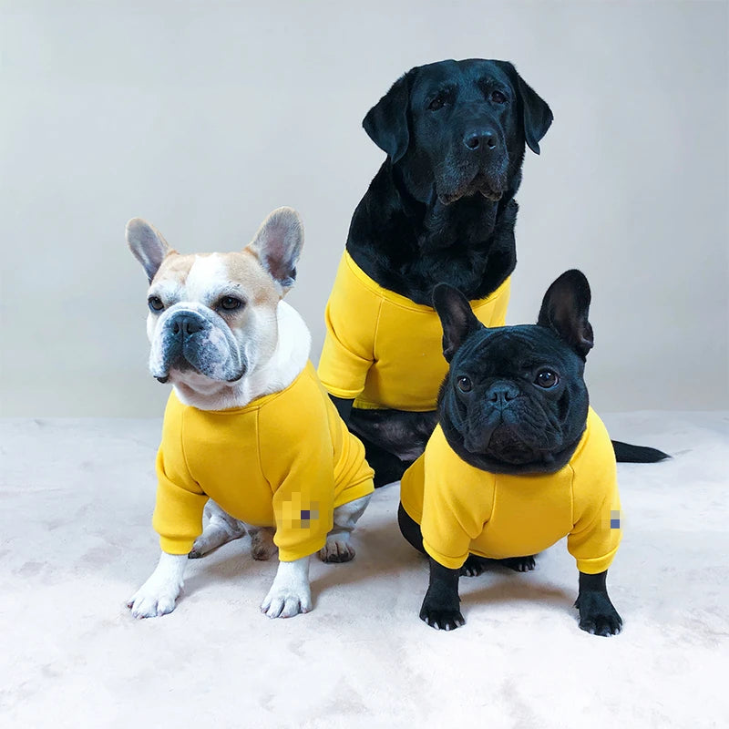 Frenchie Solid Dog Sweater