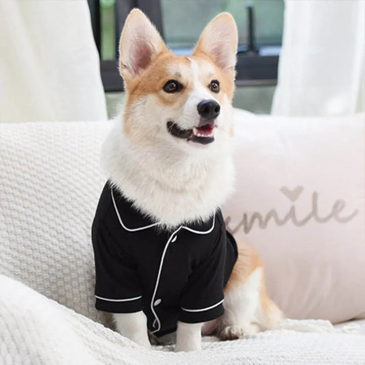 Corgi Cozy Fashion Outfit