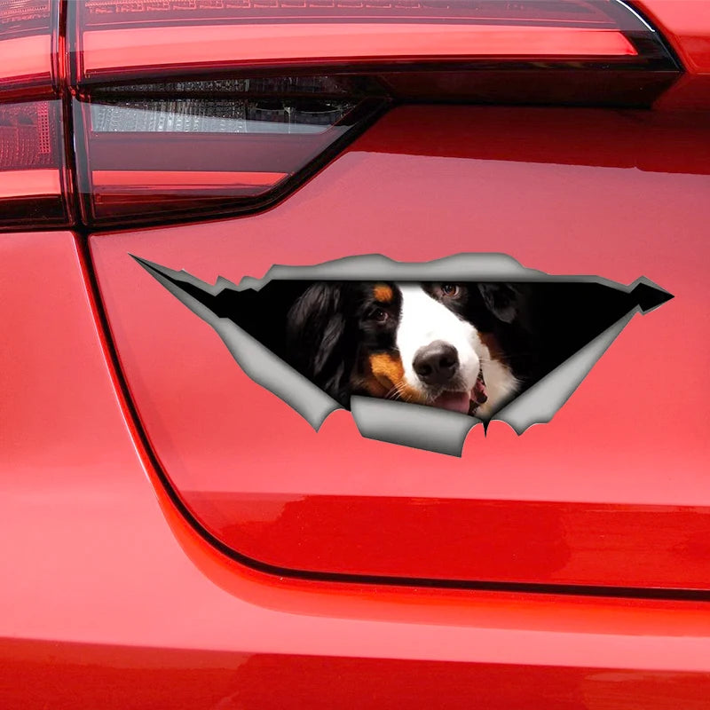 Bernese Funny Car Sticker