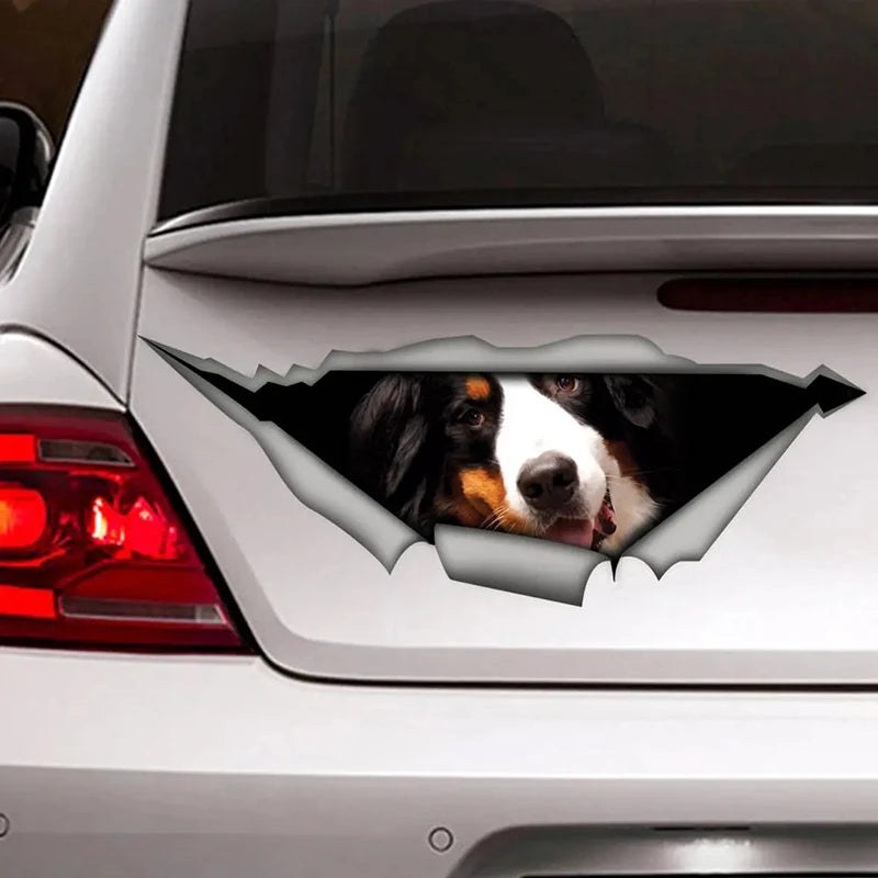 Bernese Funny Car Sticker