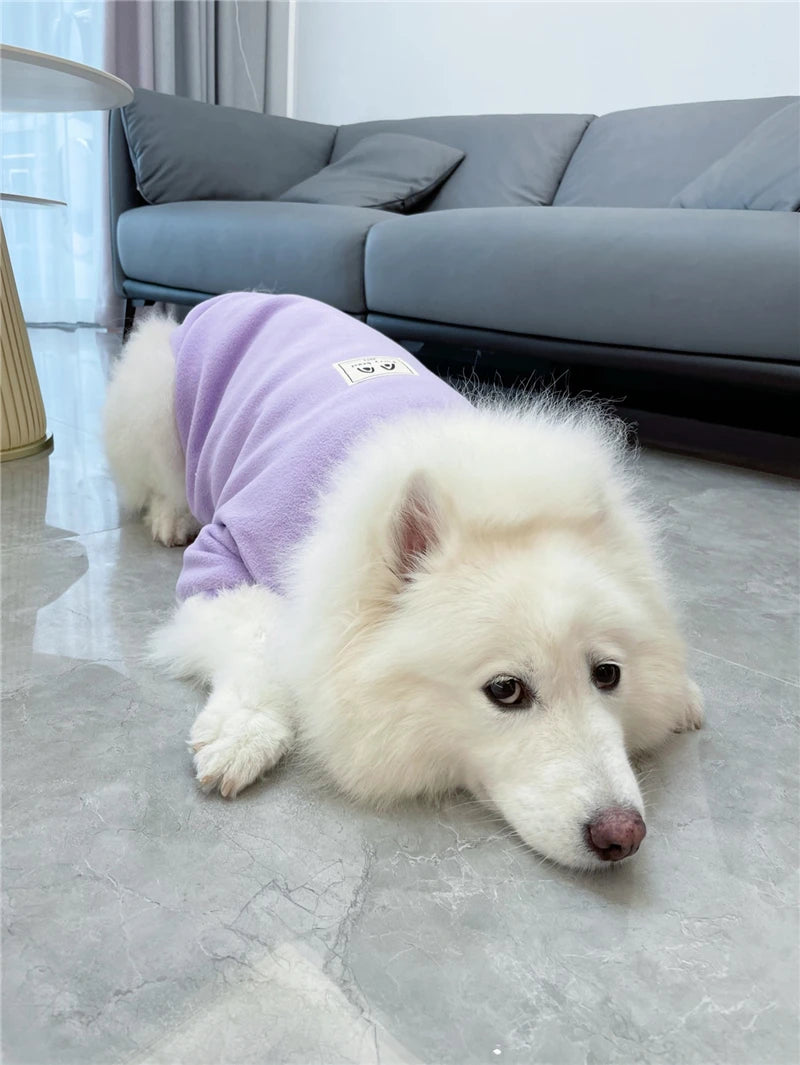 Samoyed Fashion Winter Dress