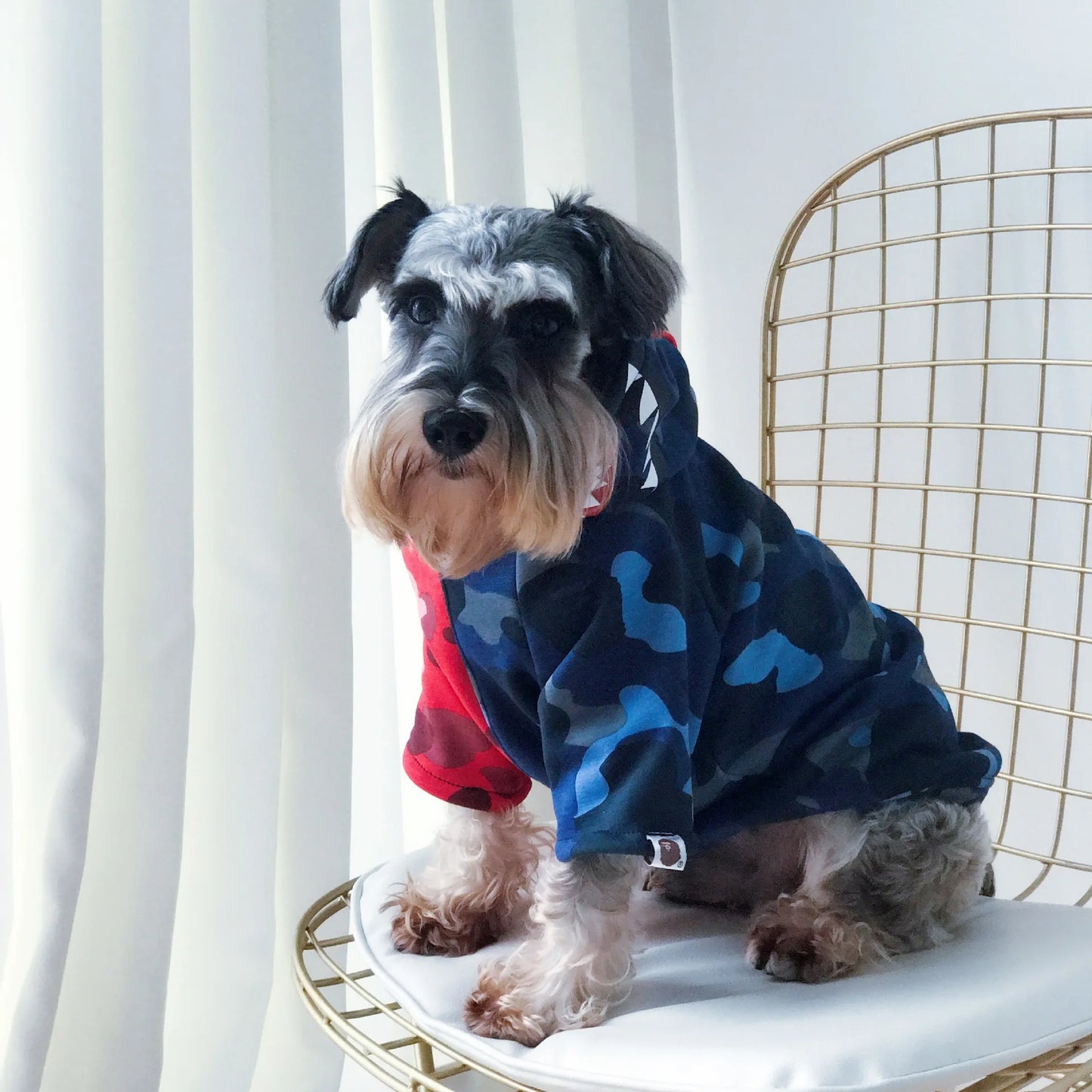 Schnauzer Cool Winter Hoodie