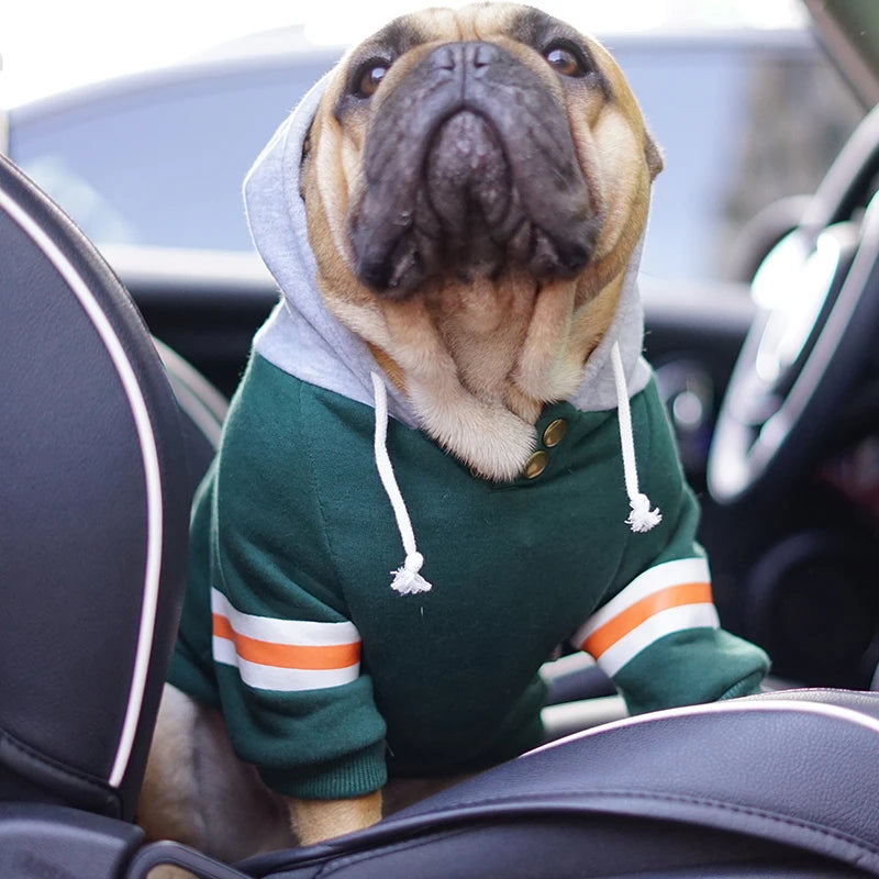 Fashion Hoodies for Pug