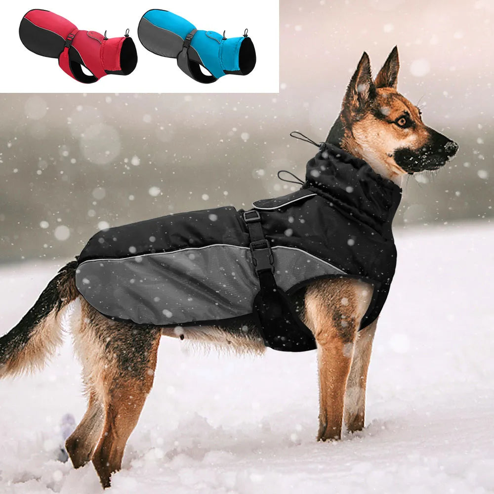 Winter Sweater for Malinois