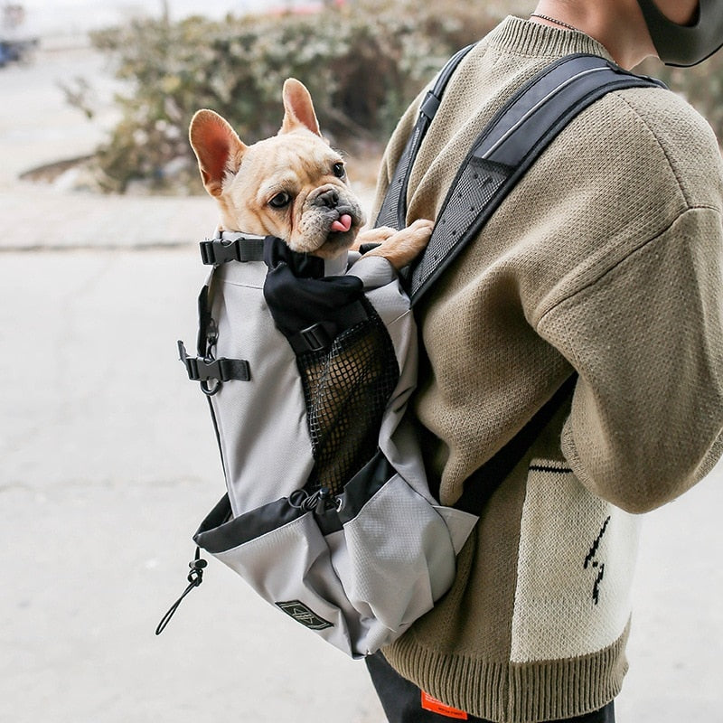 Dog Carrier Travel Backpack