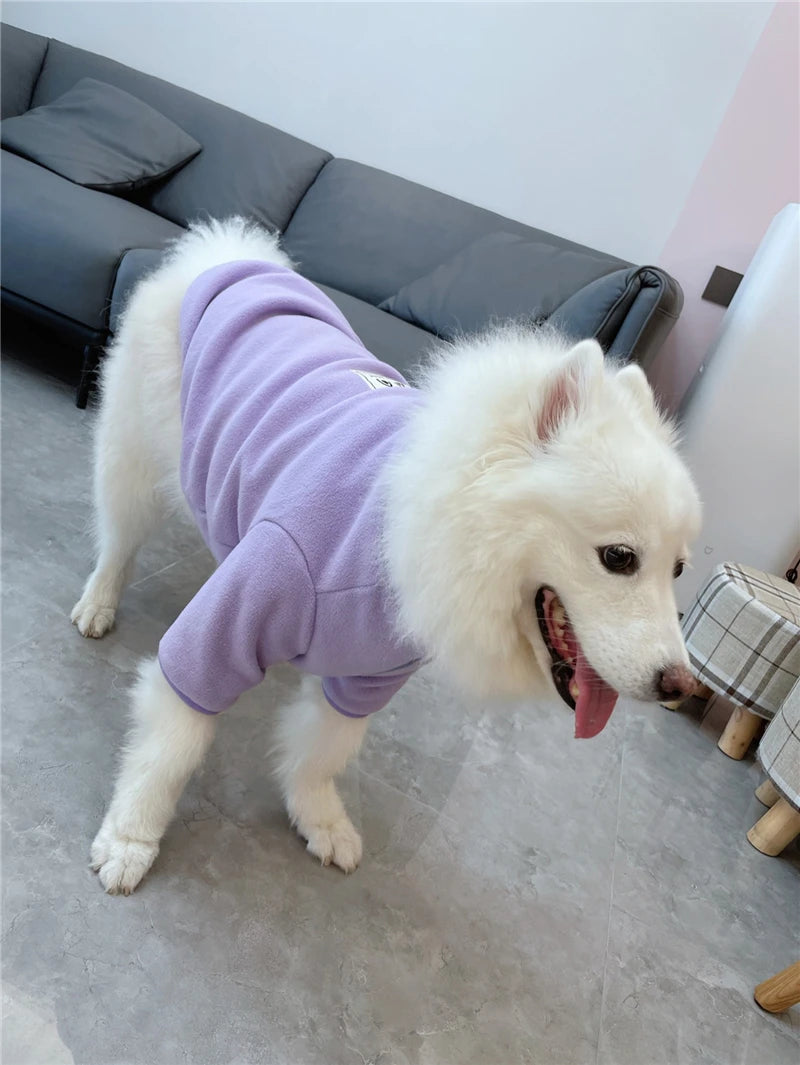 Samoyed Fashion Winter Dress