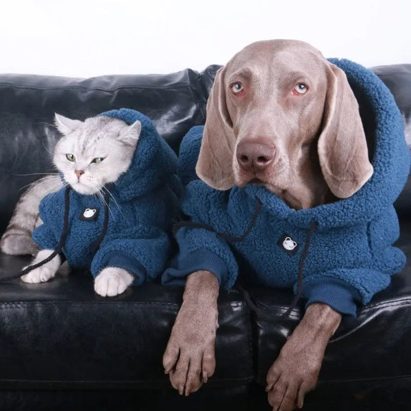 Winter Weimaraner Soft Hoodies