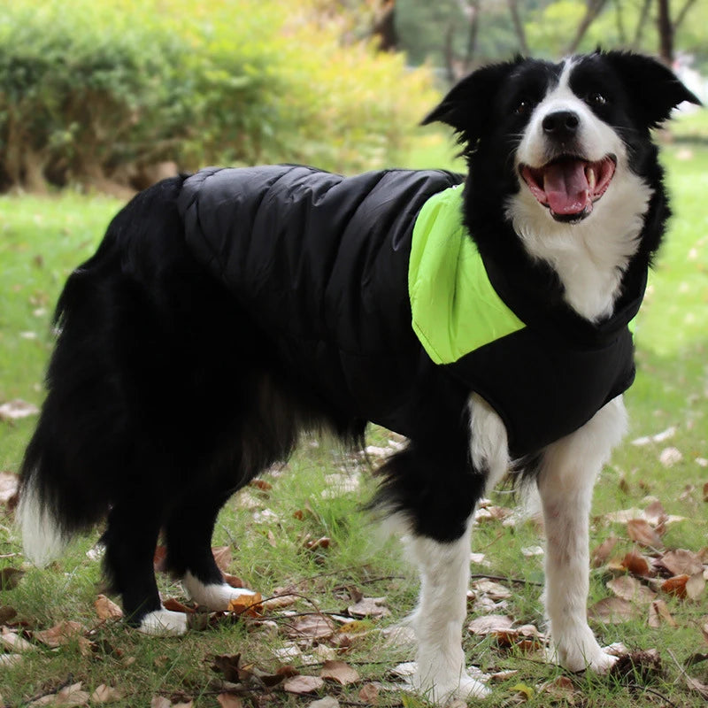 Border Collie Winter Dog Jackets